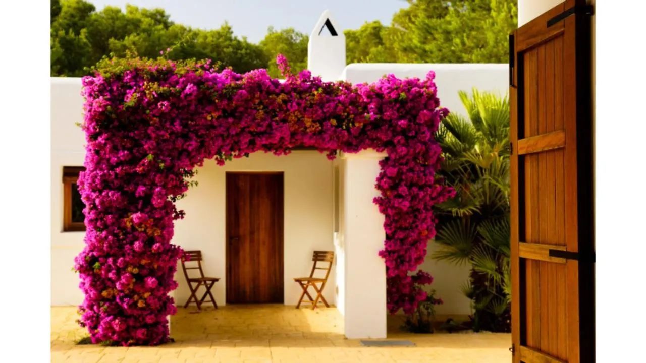 Villa Tegui Is A Luxury Villa Close To San Rafael And 10 Min Drive To Ibiza Town And San Antonio San Rafael De Sa Creu 0*,